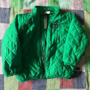 Patagonia toddler down sweater coat